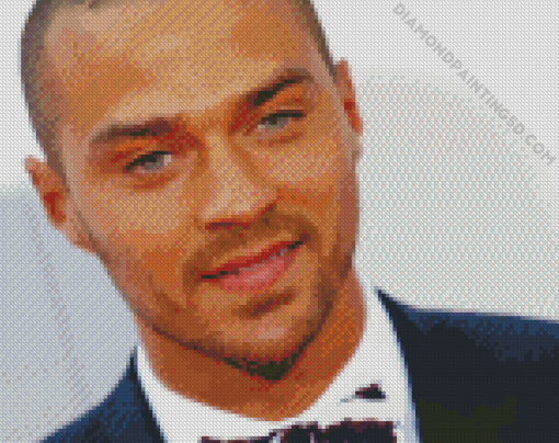 Jesse Williams Diamond Painting