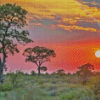 Kruger Park Diamond Painting