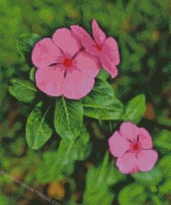 Periwinkle Plant Diamond Painting