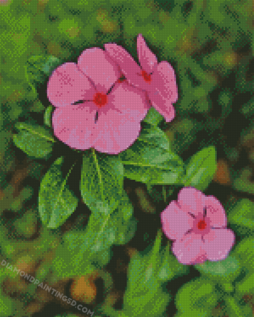 Periwinkle Plant Diamond Painting