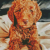 Red Golden Doodle Puppy Diamond Painting