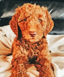 Red Golden Doodle Puppy Diamond Painting