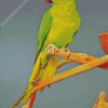 Red Neck Parrot Bird Diamond Painting