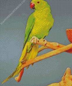 Red Neck Parrot Bird Diamond Painting