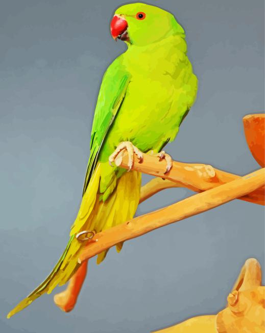 Red Neck Parrot Bird Diamond Painting