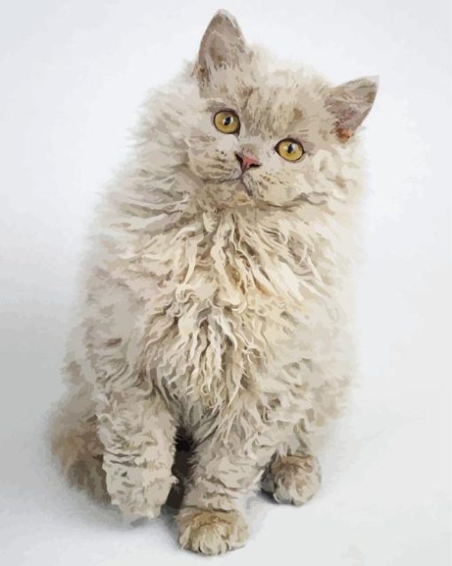 Selkirk Rex Cat Diamond Painting