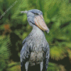 Shoebill Stork Animal Diamond Painting