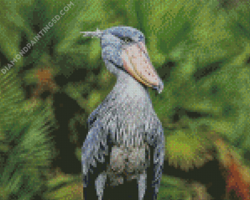 Shoebill Stork Animal Diamond Painting