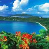 ST Thomas Landscape Diamond Painting