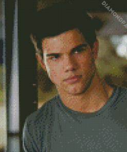 Taylor Lautner Diamond Painting