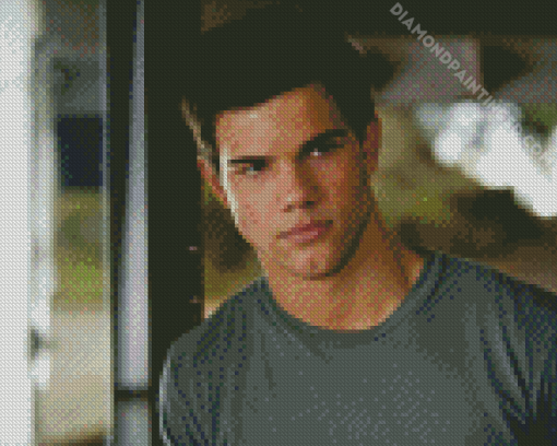 Taylor Lautner Diamond Painting