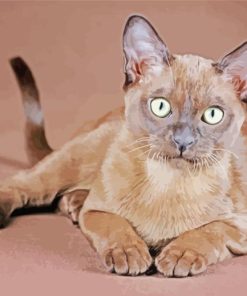 The Burmese Cat Diamond Painting