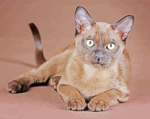 The Burmese Cat Diamond Painting