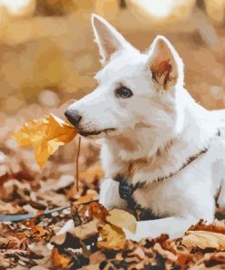 White Swiss Shepherd Diamond Painting