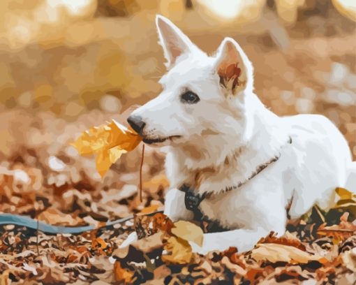 White Swiss Shepherd Diamond Painting