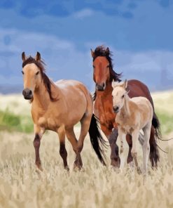 Wild Mustangs Family Diamond Painting