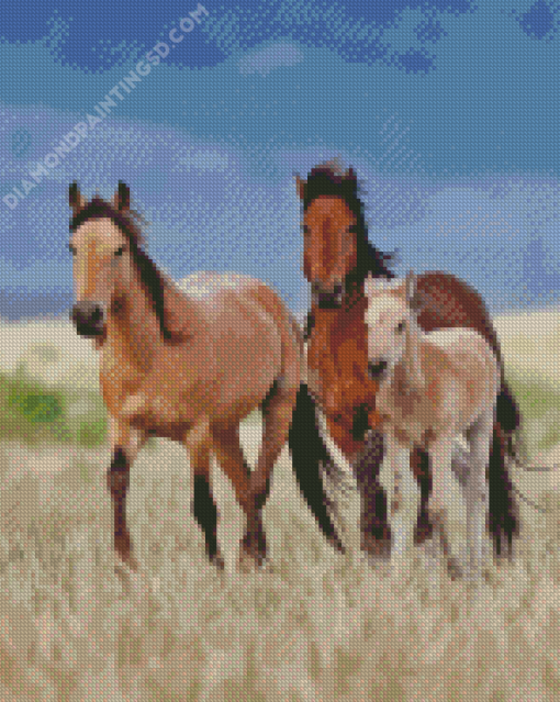 Wild Mustangs Family Diamond Painting