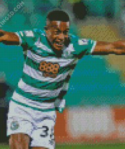 Aidomo Emakhu Shamrock Rovers Diamond Painting