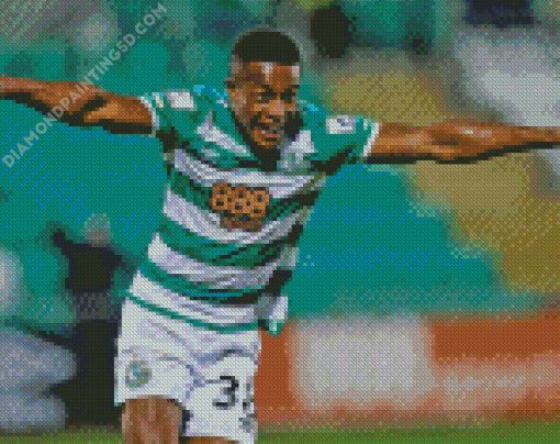 Aidomo Emakhu Shamrock Rovers Diamond Painting