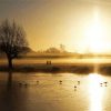 Bushy Park At Sunset Diamond Painting