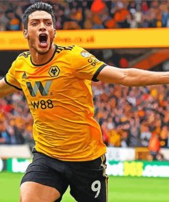 Cool Raul Jimenez Diamond Painting