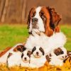 Cool ST Bernard Diamond Painting