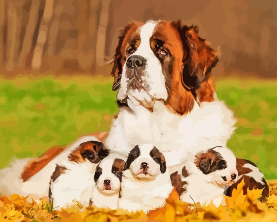 Cool ST Bernard Diamond Painting