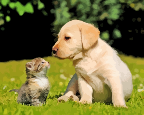 Cute Puppy And Kitten Diamond Painting