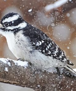 Downy Woodpecker In Snow Diamond Painting