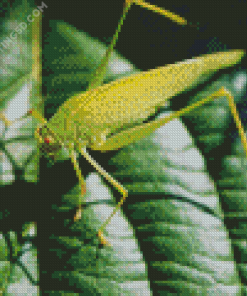 Grasshopper Diamond Painting