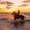 Sea Woman With Horse Diamond Painting