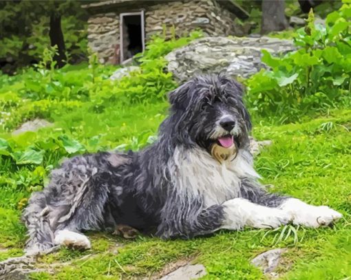 The Romanian Shepherd Dog Diamond Painting