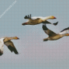 Three Geese Flying Diamond Painting