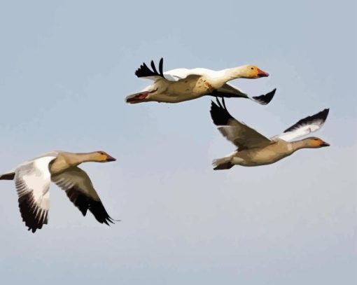 Three Geese Flying Diamond Painting