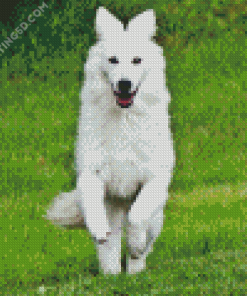 White German Shepherd Dog Diamond Painting