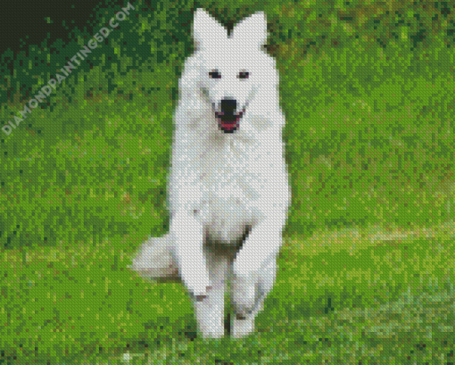 White German Shepherd Dog Diamond Painting