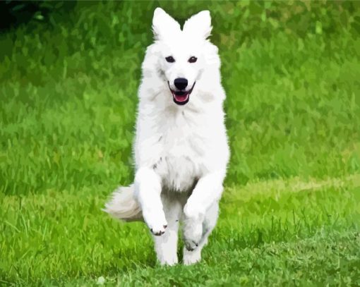 White German Shepherd Dog Diamond Painting