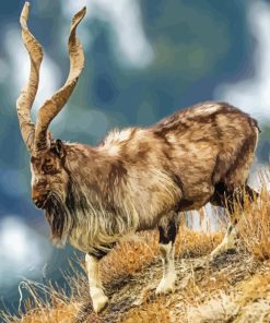 Wild Markhor Goat Diamond Painting