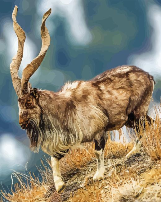 Wild Markhor Goat Diamond Painting