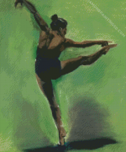 Abstract Black Ballerina Diamond Painting