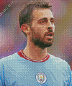 Bernardo Silva Diamond Painting