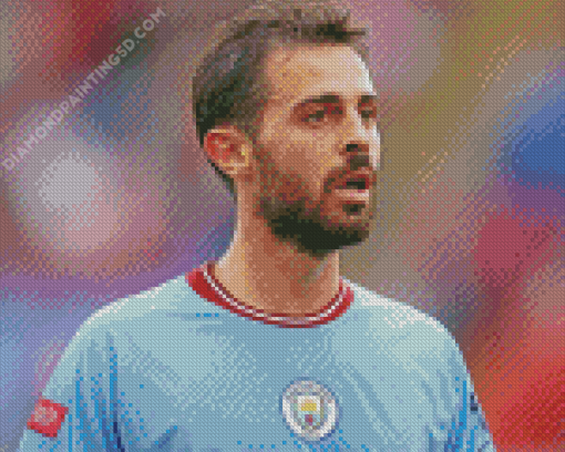 Bernardo Silva Diamond Painting