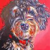 Bernedoodle Art Diamond Painting