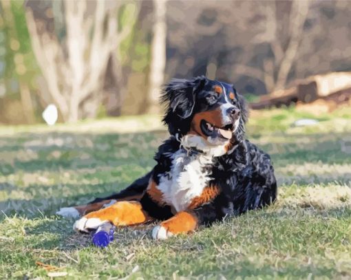 Bernedoodle Dog Diamond Painting