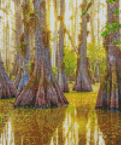 Big Cypress National Preserve Diamond Painting