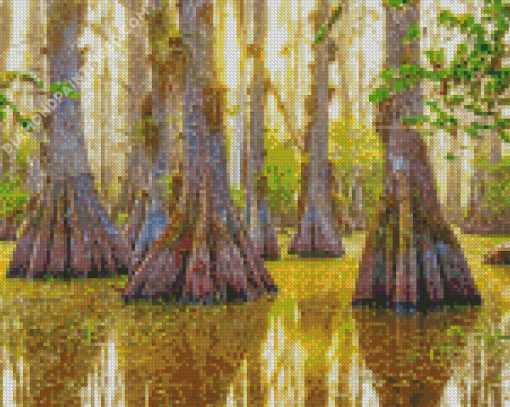 Big Cypress National Preserve Diamond Painting