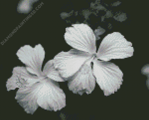 Black And White Hibiscus Diamond Painting