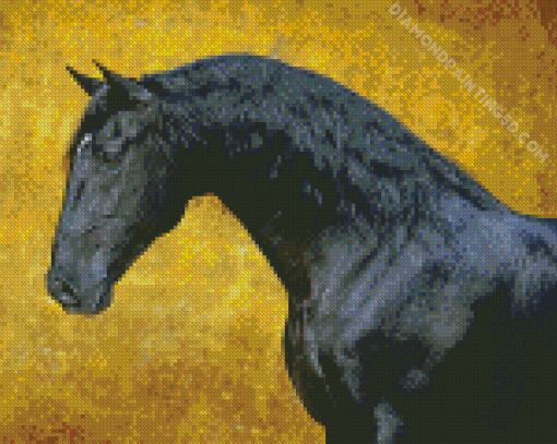 Black Lusitano Horse Diamond Painting