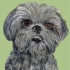 Black Shih Tzu Dog Diamond Painting