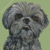 Black Shih Tzu Dog Diamond Painting